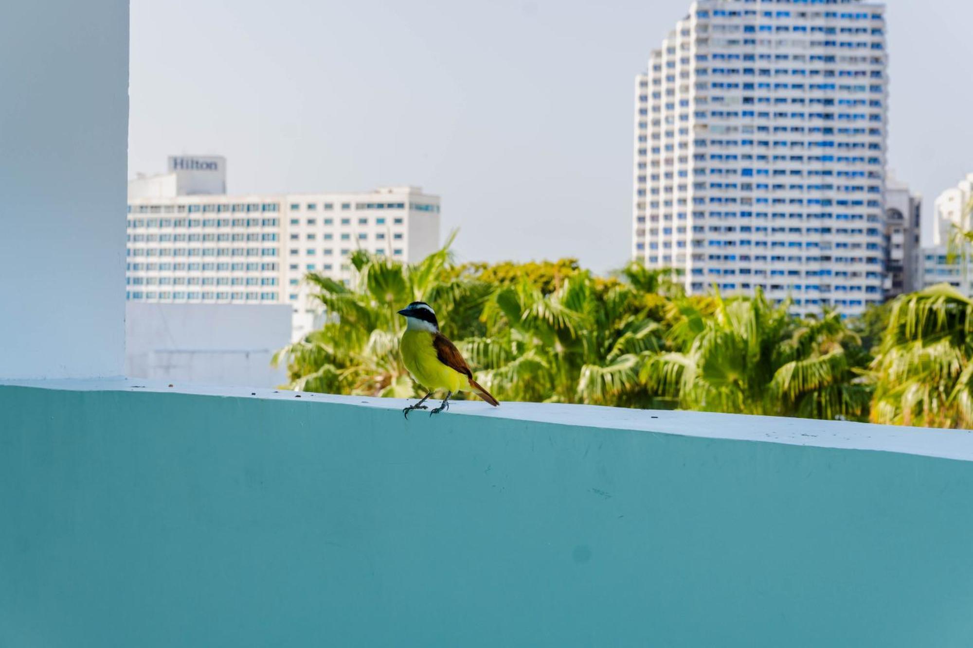 Hotel Coral Reef Cartagène Extérieur photo